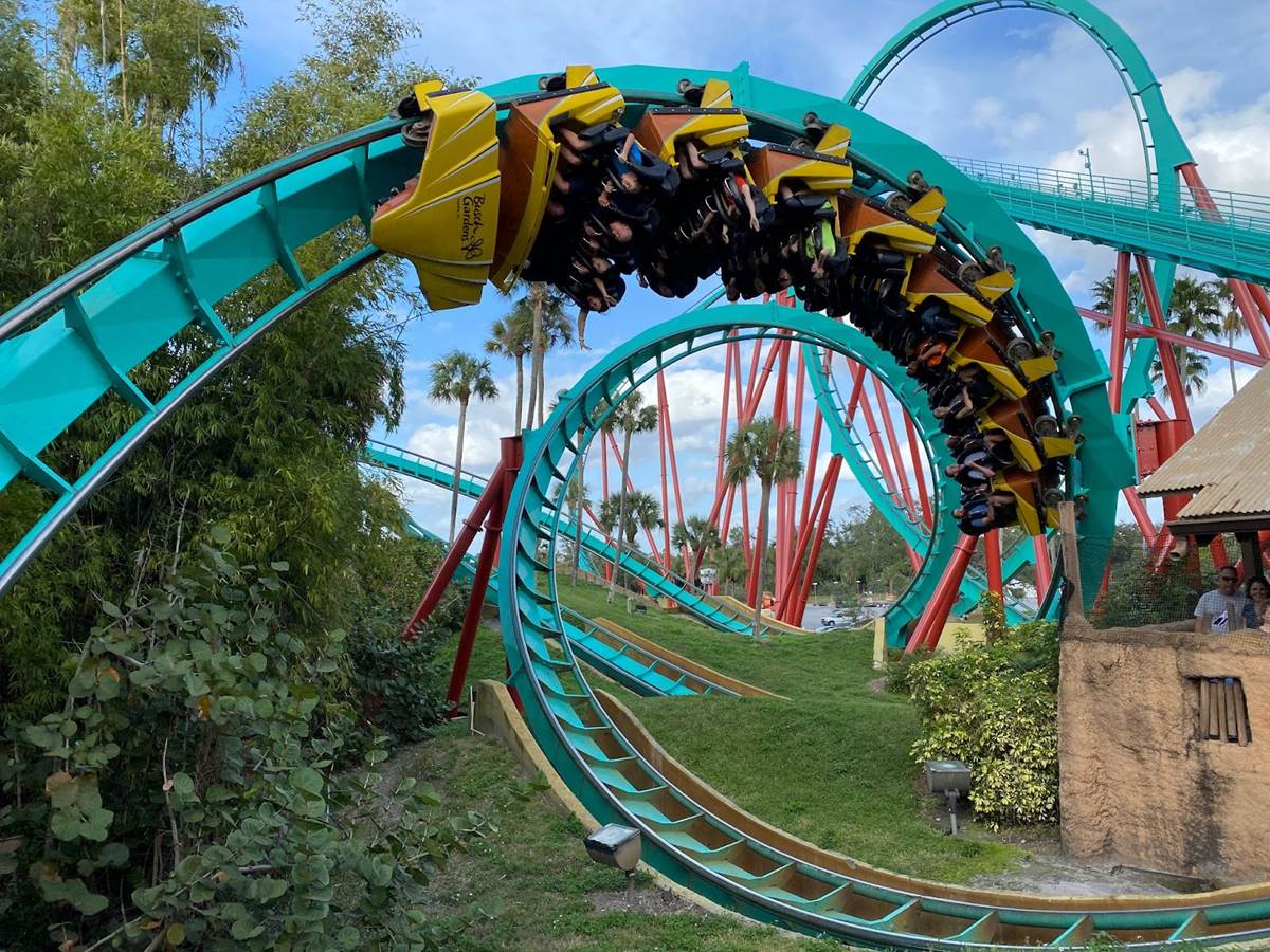 Ranked: The Roller Coasters of Busch Gardens Tampa – Including Iron ...