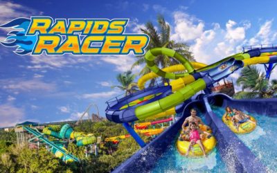 Two New Slides, Rapids Racer and Wahoo Remix, Opening March 2022 at Adventure Island in Tampa