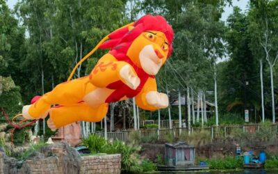 KiteTails at Disney's Animal Kingdom Adds Announcement Advising Guests About Kite Landings