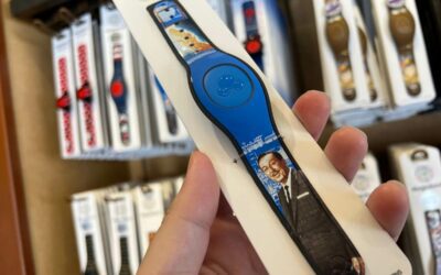 New Walt Disney Florida Project MagicBand Spotted at Disney Springs