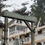 Pelican's Landing Seating Area Now Open in New Orleans Square