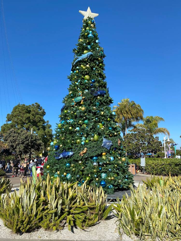 Photos Christmas Celebration Returns to SeaWorld San Diego with