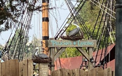 Photos: Pelicans and Pelican's Landing Sign Show Up at Disneyland
