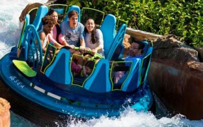 SeaWorld Orlando Offers Black Friday Deals on Tickets, Passes and More
