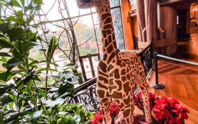 Gingerbread Baby Giraffe Surprises Guests at Disney's Animal Kingdom Lodge