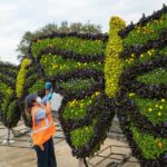 Walt Disney World Horticulture Begins Work for the 2022 EPCOT International Flower and Garden Festival