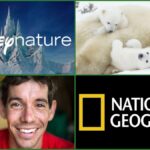 Disney+ Announces Earth Day 2022 Plans, including Disneynature's "Polar Bear"