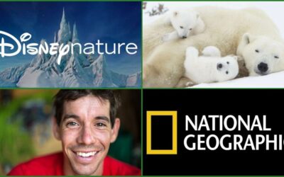 Disney+ Announces Earth Day 2022 Plans, including Disneynature's "Polar Bear"