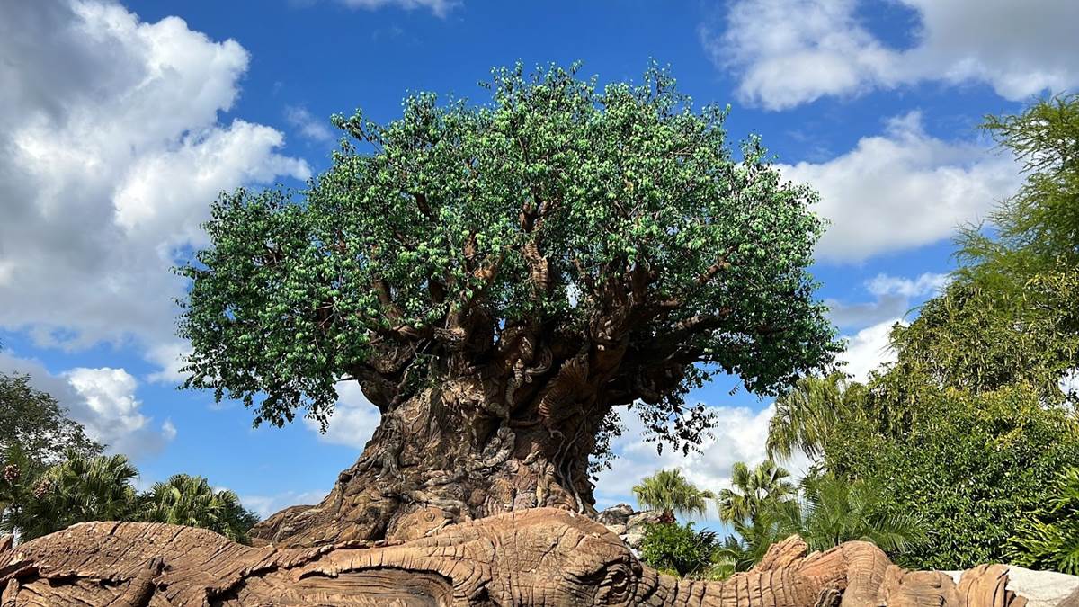Photos: What's New at Disney's Animal Kingdom 