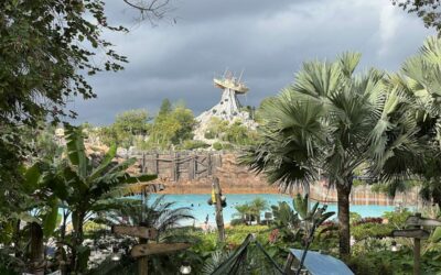 Typhoon Lagoon Reopens at Walt Disney World