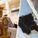 Walt Disney World Shares How Bees Help Recycle Holiday Gingerbread Displays