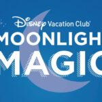 Moonlight Magic Returns to All Four Walt Disney World Theme Parks in 2022