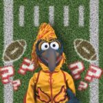The Great Gonzo's Big Game Message