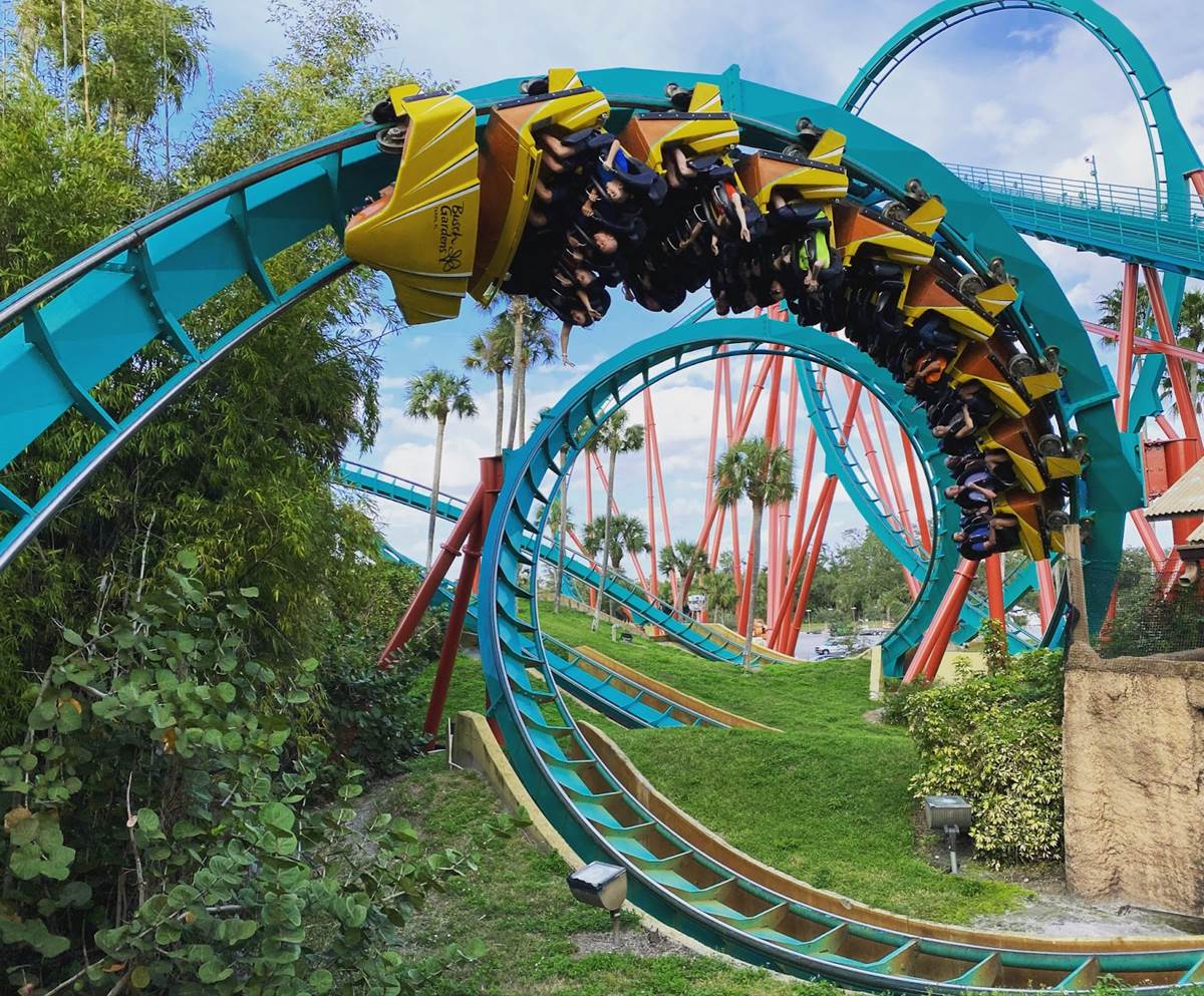 future Coast Disgrace Busch Gardens Tampa Bay Confirms Classic Coaster Kumba Not Closing  Following Rumors - LaughingPlace.com