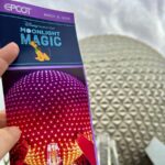 Disney Vacation Club Moonlight Magic - Membership Has Its Privileges