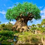 Height Requirements For Each Attraction at Disney's Animal Kingdom