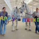 How Horse Birthdays are Celebrated at Circle D Ranch