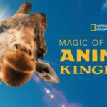 National Geographic Filming Season Two of ‘Magic of Disney’s Animal Kingdom’ for Disney+
