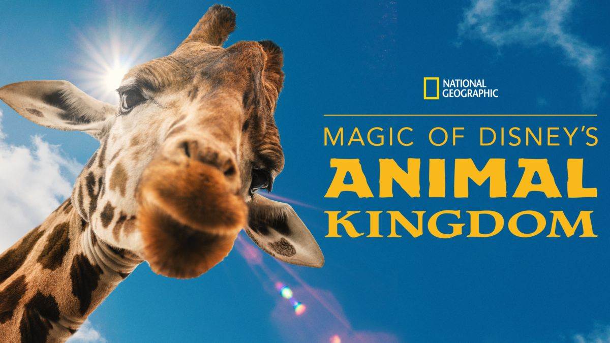 National Geographic Filming Season Two of 'Magic of Disney's Animal  Kingdom' for Disney+