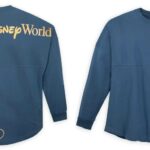 Mickey Mouse EARidescent Spirit Jerseys for the Family Celebrate our Favorite Disney Resorts