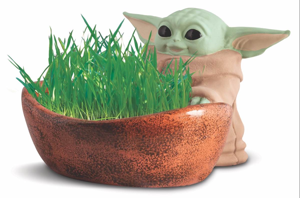 https://www.laughingplace.com/w/wp-content/uploads/2022/05/let-your-love-for-star-wars-grow-with-all-new-grogu-chia-pets-available-at-star-wars-celebration-1.jpeg