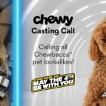 Your Pets Can Join in on the Star Wars Fun with Chewy