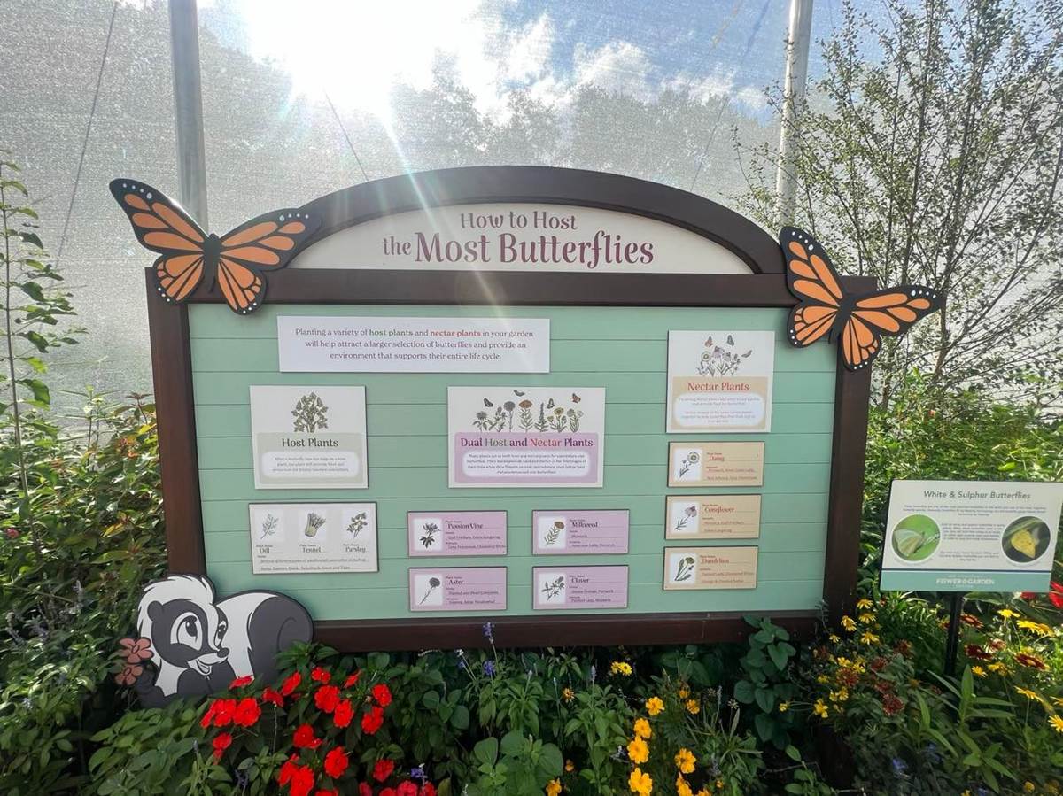 Bambi's Butterfly House at EPCOT International Flower & Garden
