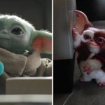 "Gremlins" Director Joe Dante Draws Similarities Between Gizmo and Baby Yoda