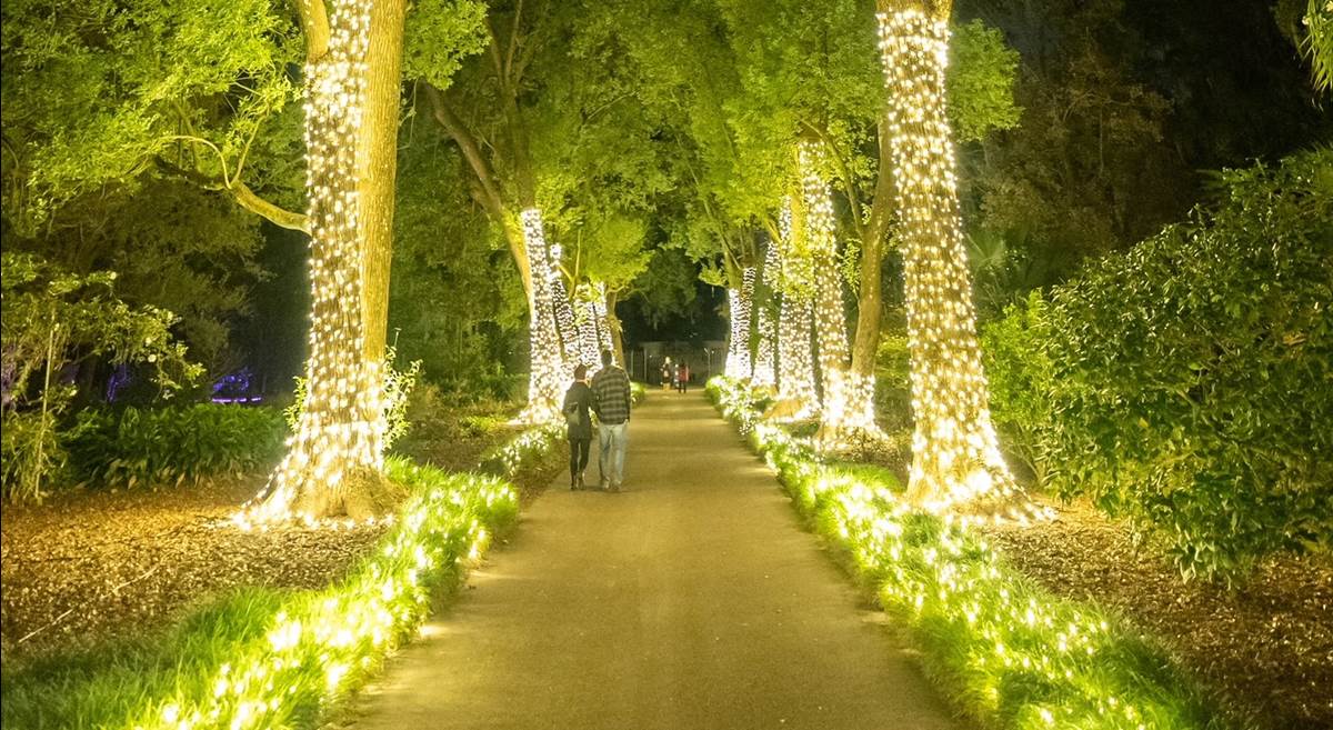 Harry P. Leu Gardens Brings Back "Dazzling Nights" For 2022 Holiday