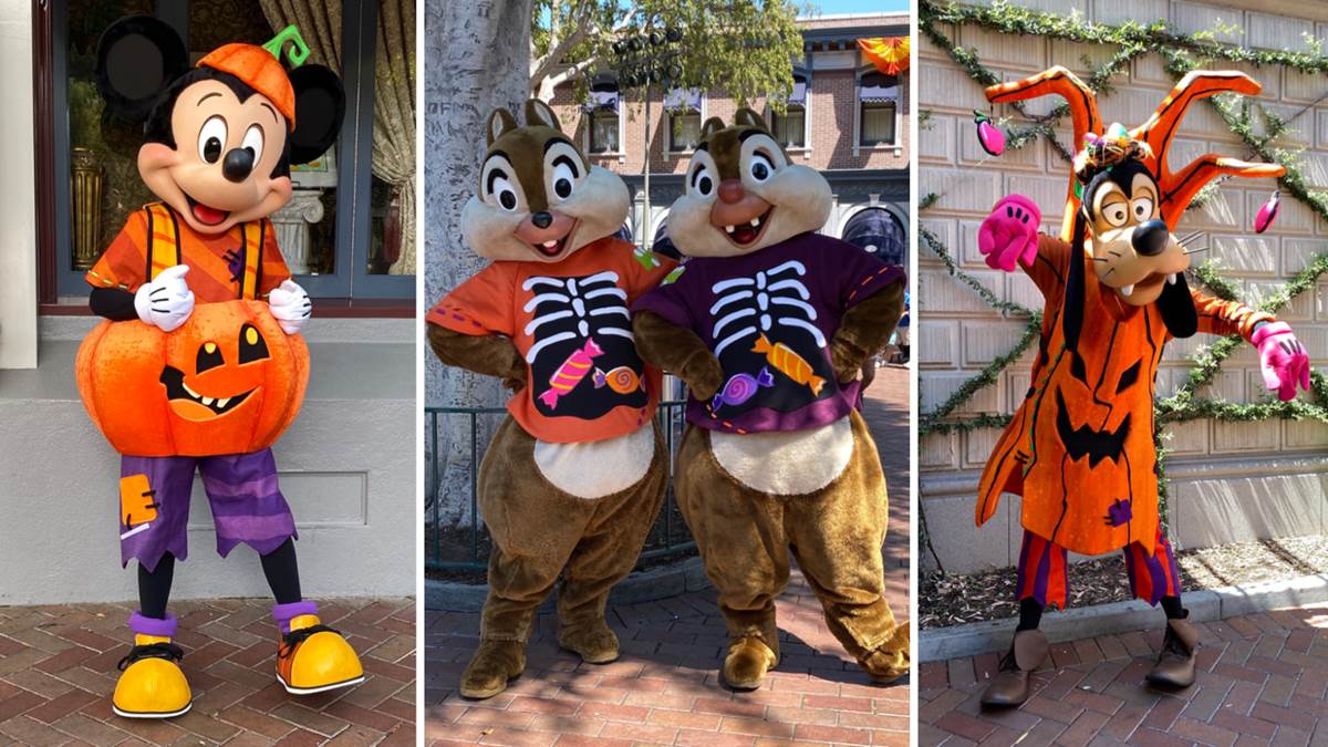 Halloween Costumes Of Mickey Mouse 2022 – Get Halloween 2022 News Update
