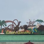 Photos: New Entrance Marquee Installed at Busch Gardens Tampa Bay