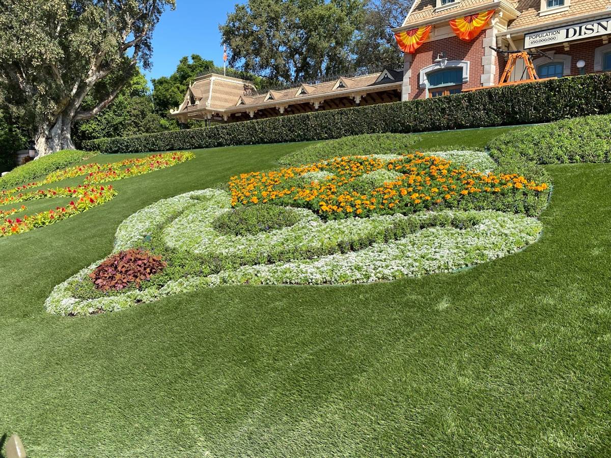 Photos Synthetic Grass Installed at Disneyland's Floral Mickey Display