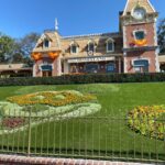 Photos: Synthetic Grass Installed at Disneyland's Floral Mickey Display
