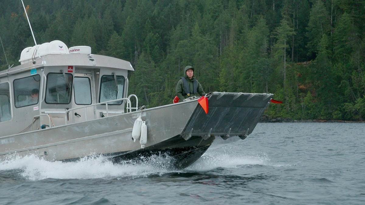 TV Review "Chefs vs Wild" Experiments with Survival and Culinary