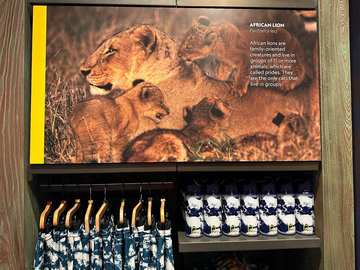 Photos National Geographic Merchandise Collection Now Available in