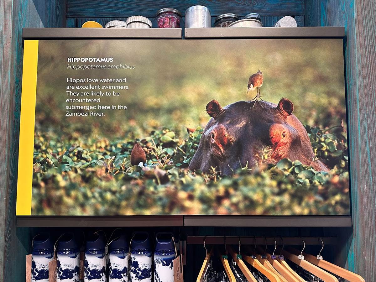 Photos National Geographic Merchandise Collection Now Available in