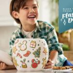 Black Friday Flash Sale at shopDisney: Save 40% On Home Essentials and More