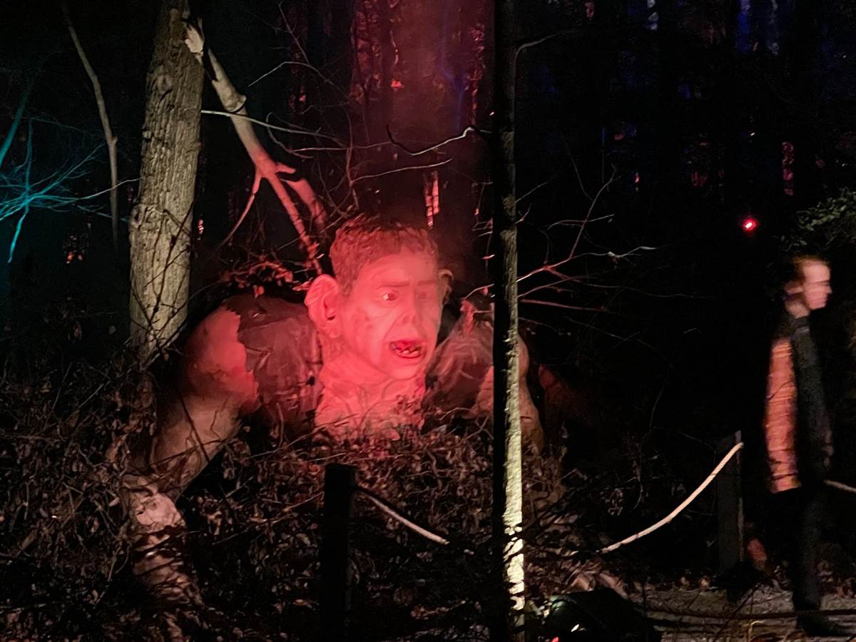 Photo Report Harry Potter A Forbidden Forest Experience in Leesburg