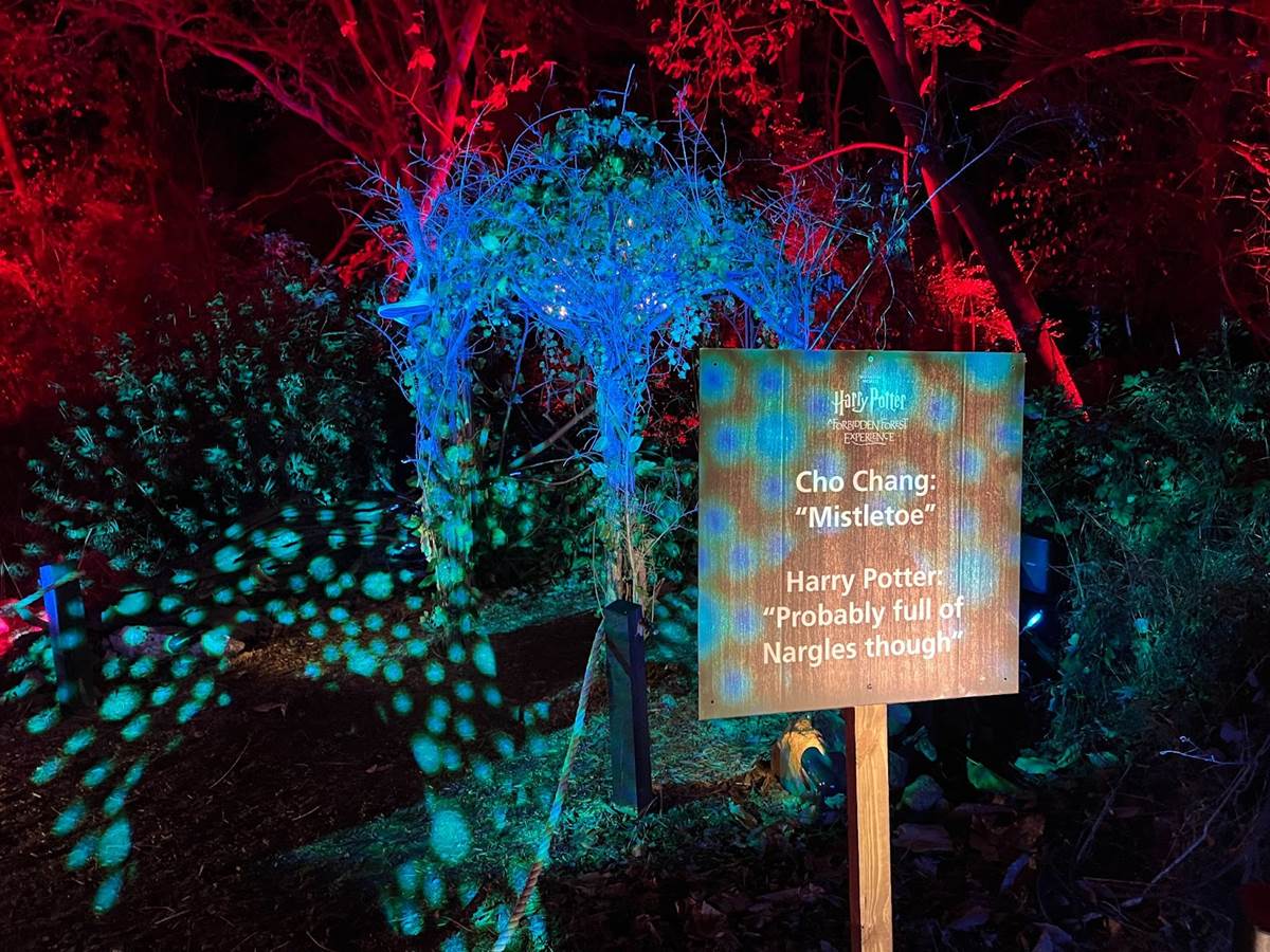 Photo Report Harry Potter A Forbidden Forest Experience in Leesburg, VA