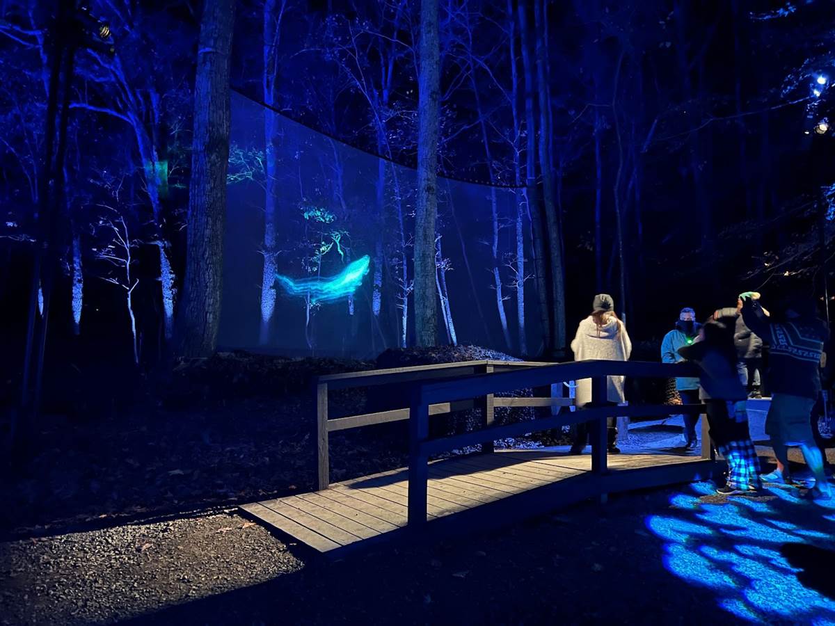 Photo Report Harry Potter A Forbidden Forest Experience in Leesburg