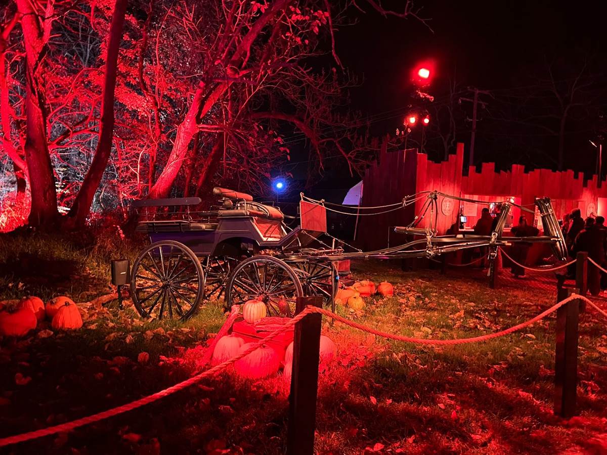 Photo Report Harry Potter A Forbidden Forest Experience in Leesburg
