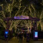 Photos - Christmas Town Returns to Busch Gardens Tampa Bay with All the Holiday Fun You Could Ask For