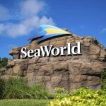 SeaWorld Orlando to Close Thursday, November 10th Due to Tropical Storm Nicole