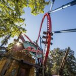 Why This Could Be the Best Time to Buy an Annual Pass to Busch Gardens Tampa Bay