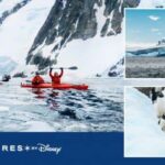 Disneynature's "Penguins" Producer Roy Conli to Join Adventures by Disney Antarctica & Patagonia Expedition Cruise