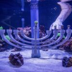 Festive Menorah Makes A Splash In The Seas With Nemo and Friends at EPCOT