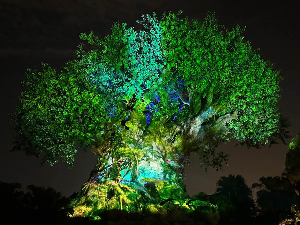 Is Disney teasing an Avatar land with multiple rides at Disneyland