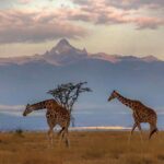 National Geographic Expeditions Reveals Signature Land Trips, River Cruises and Private Expeditions in 2024