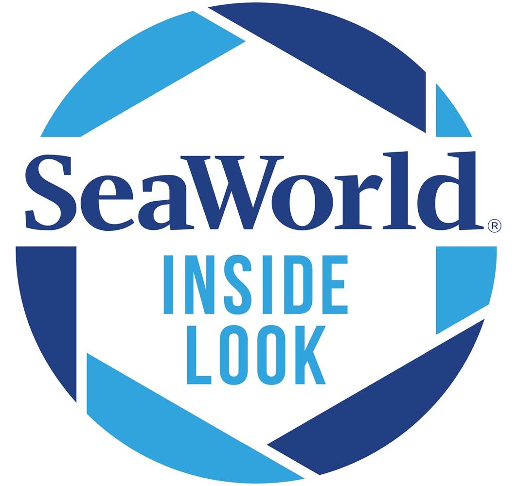 SeaWorld San Diego Gives Inside Look to Animal Care for One Weekend