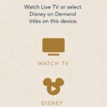Bring Your Own Device Stateroom TV Streaming Available on the Disney Wish